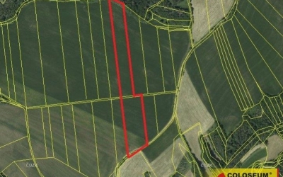 Slatinka u Letovic, zemědělský pozemek, 19 674 m2  pozemek